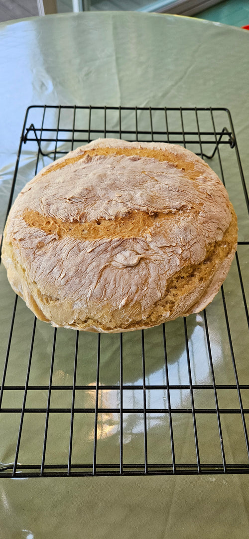 Fresh Rustic White Bread