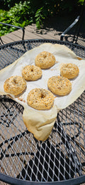 24 New York Style Bagels