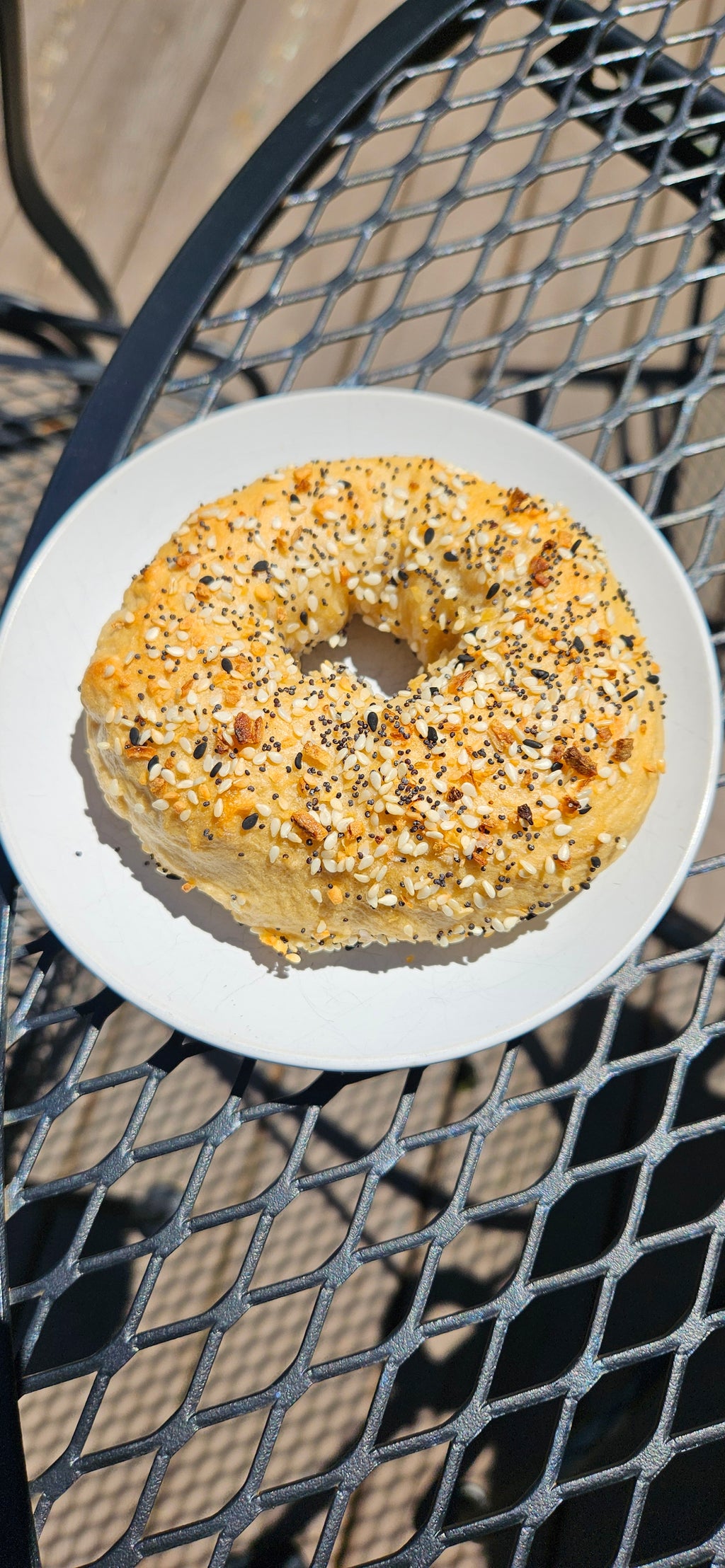 6 New York Style Bagels
