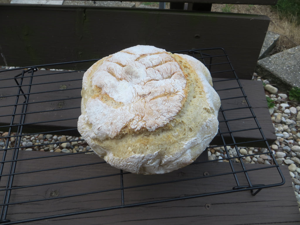 Fresh Rustic White Bread