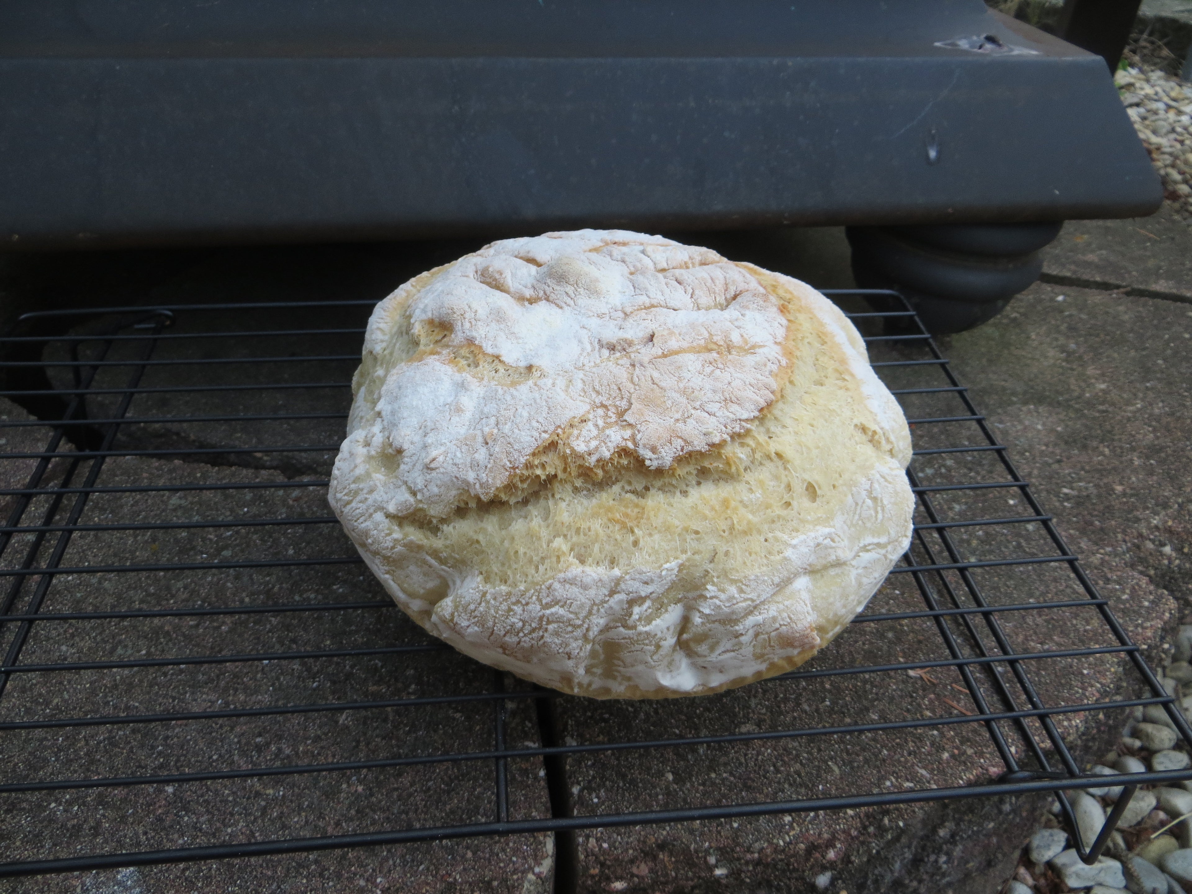 Fresh Rustic White Bread